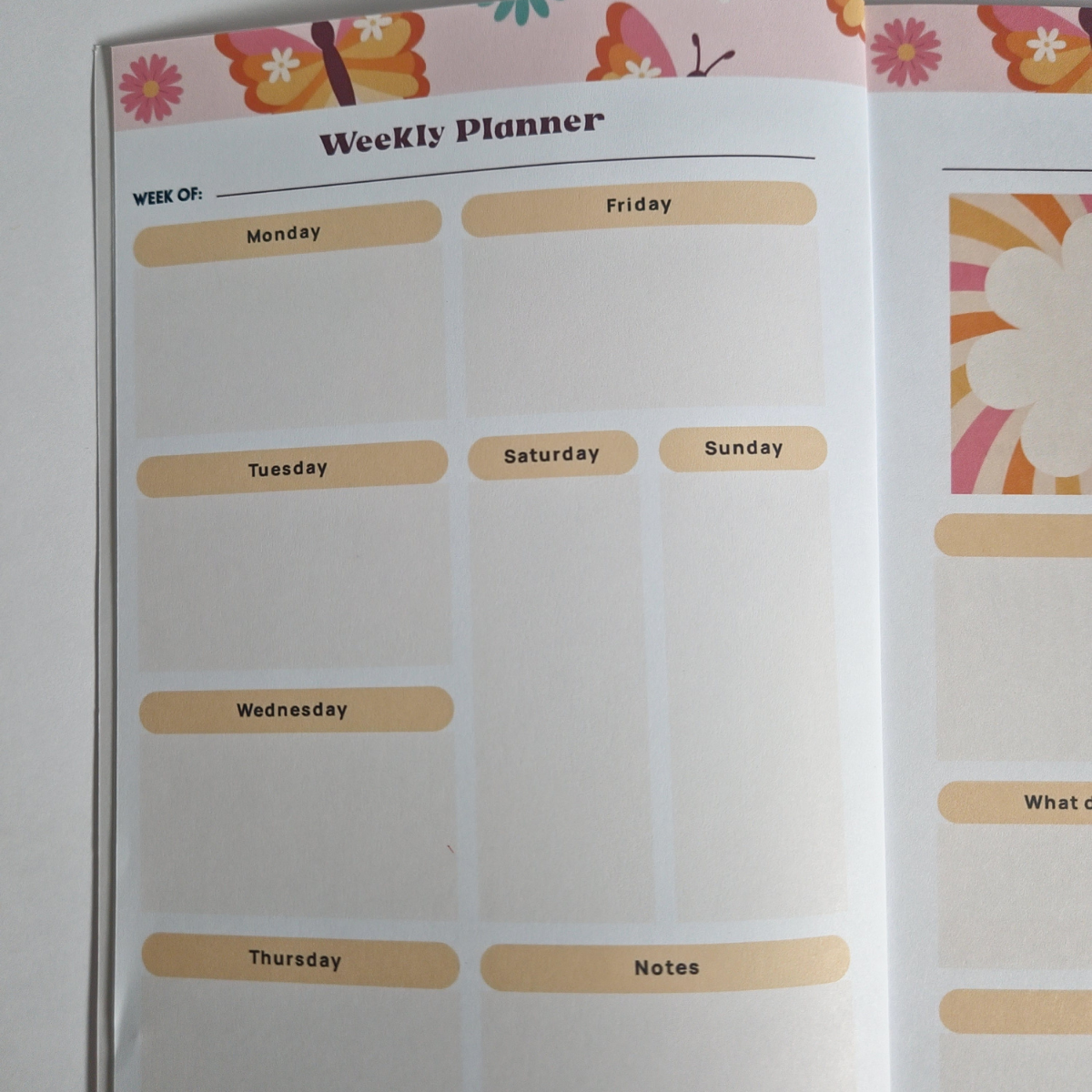Flutter Forward 52-Week Undated Monthly + Weekly Planner β A5 Size π¦
