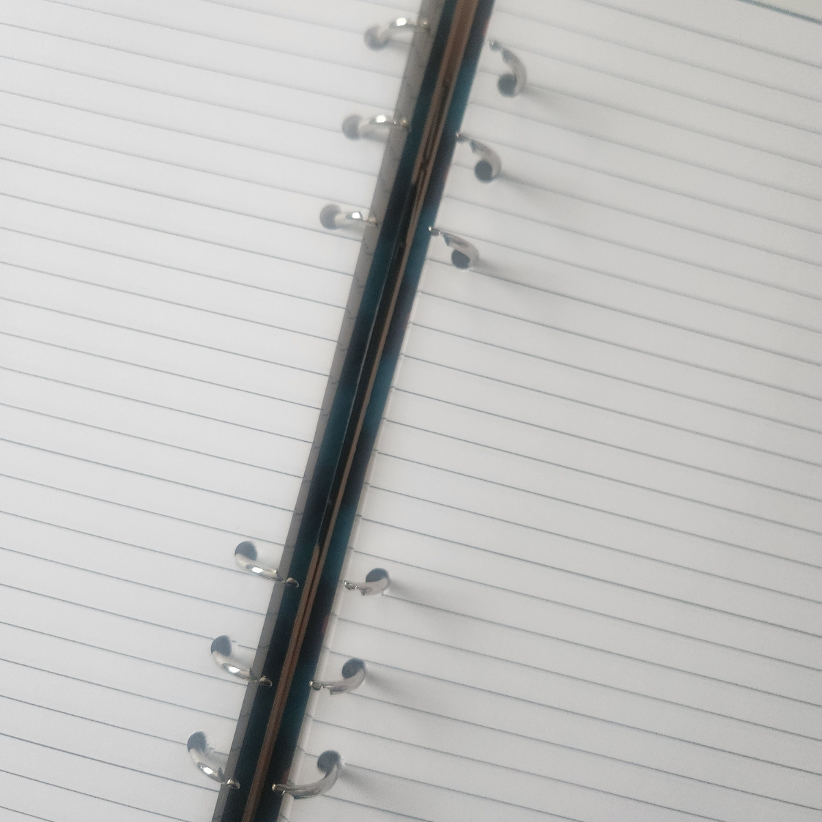 Amara Sage: Curly Contemplations A5 Refillable Journal – 80 Lined Pages